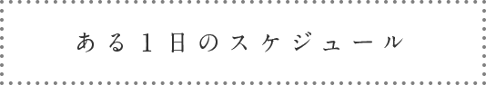 ある1日のスケジュール